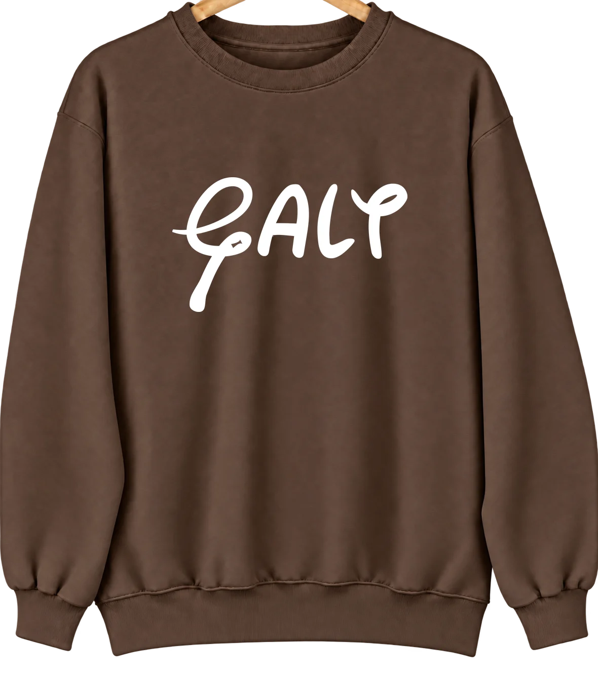 Galt, Iowa Hometown Crewneck — Brown