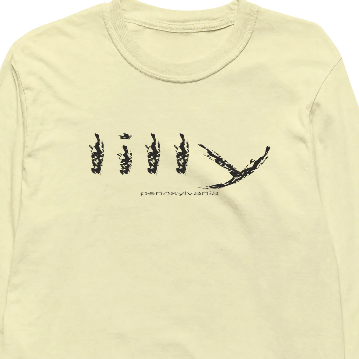 Lilly, Pennsylvania Hometown Long-Sleeve