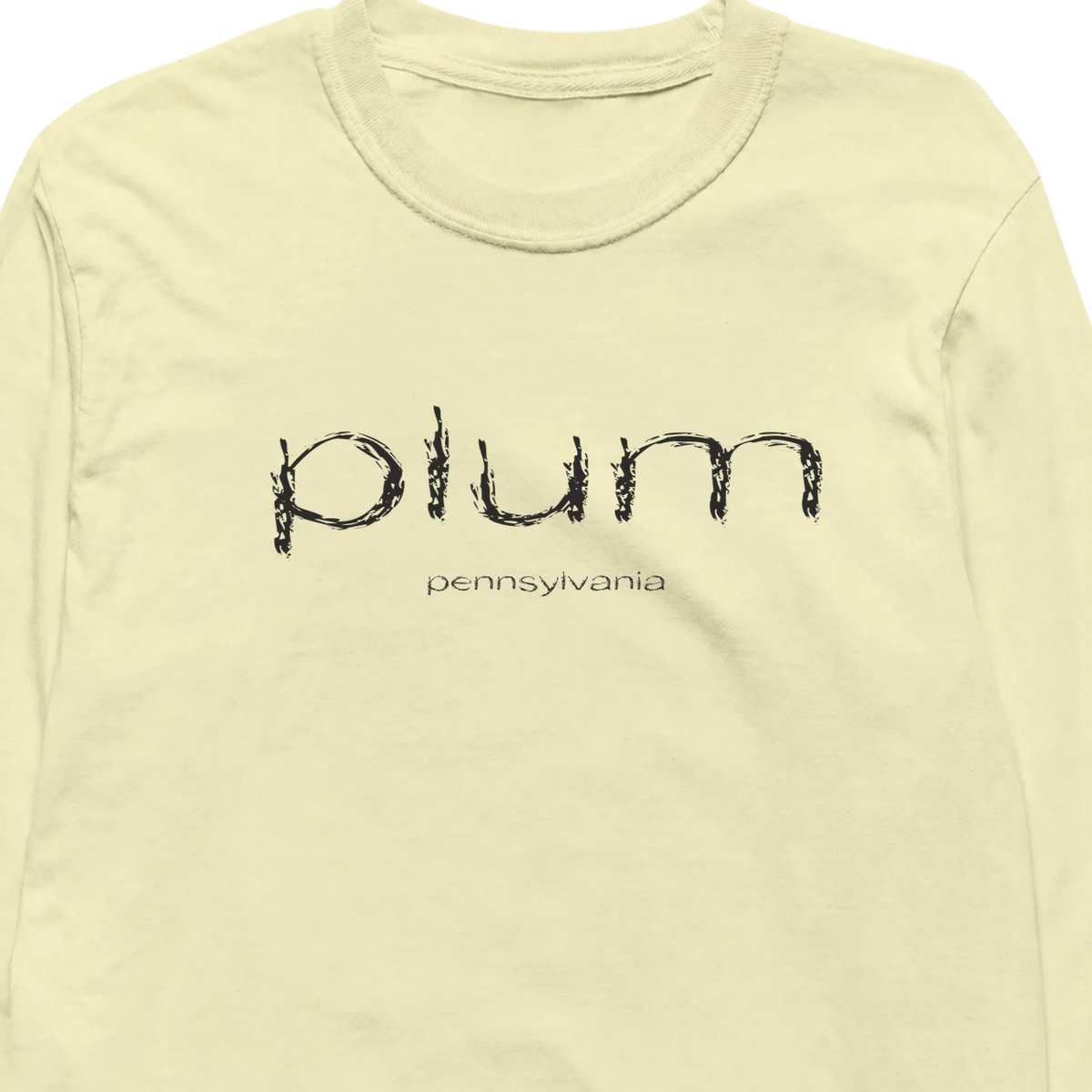 Plum, Pennsylvania Hometown Long-Sleeve