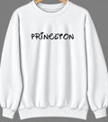 Princeton, Iowa Hometown Crewneck — White